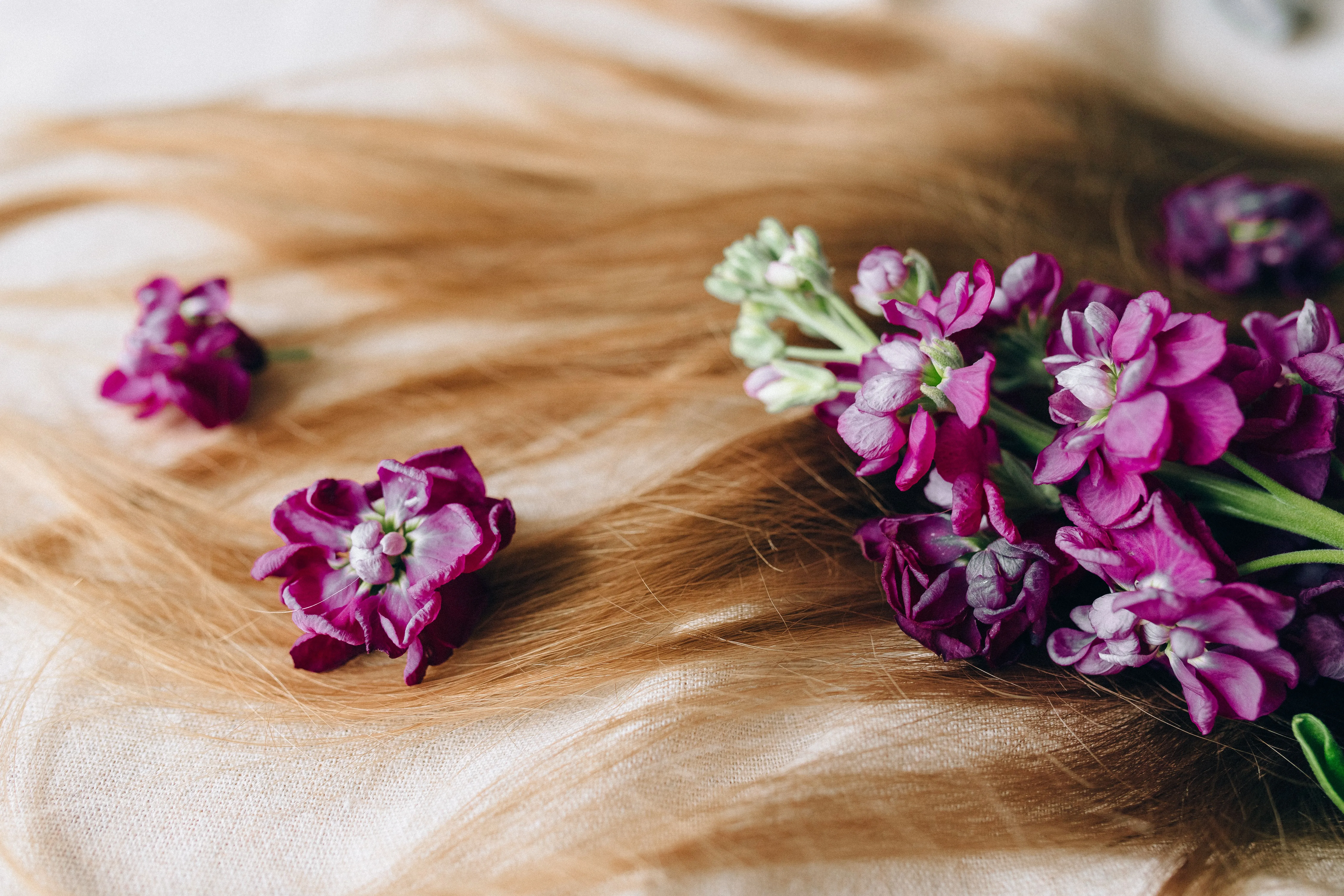 Glossy toned blonde hair laid out with purple flowers - blonde toner and gloss services at Characters Hair, Randwick, Eastern Suburbs Sydney